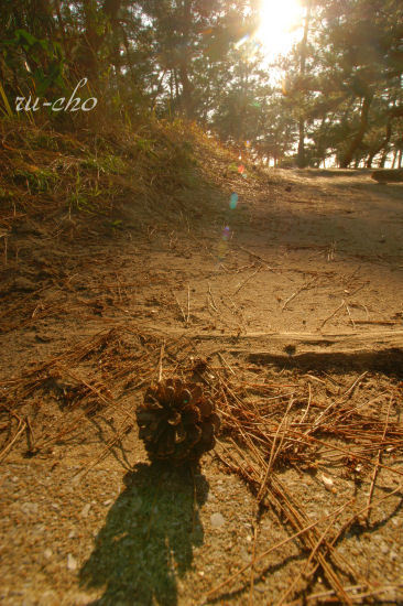 2g-003.jpg