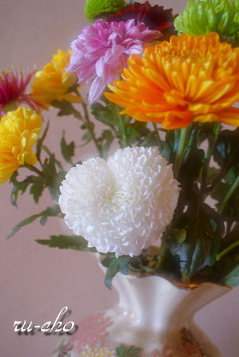DSC08988.JPG