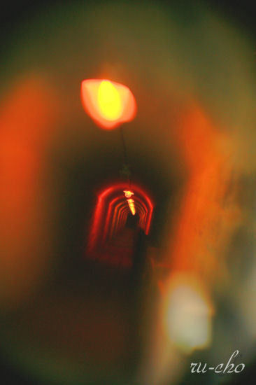 i005.jpg
