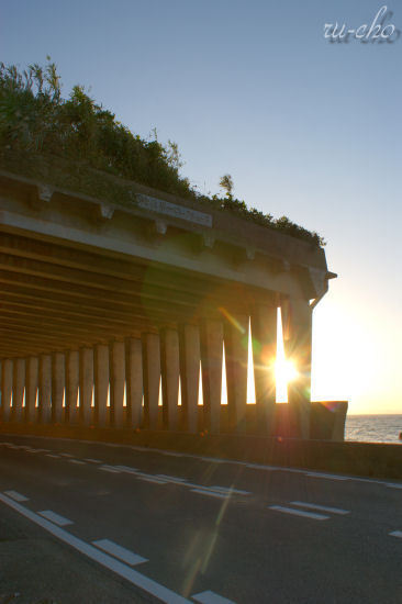 r003.JPG