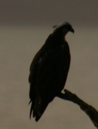 tori003.jpg