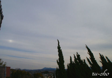 004-1.JPG
