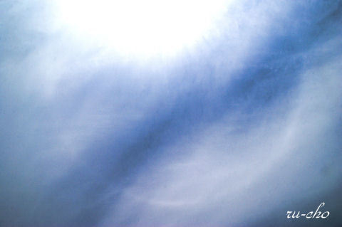 017-1.JPG