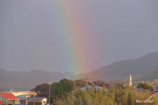 DSC06924-1.JPG