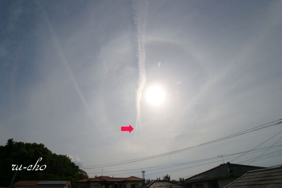 ひか003.jpg