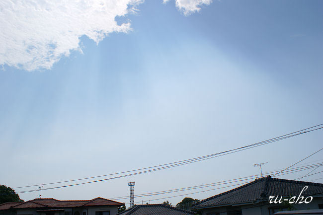 s003.jpg