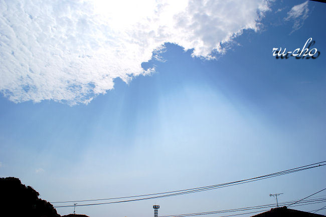 s004.jpg