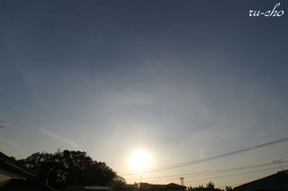 up001.JPG